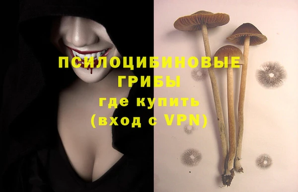 spice Алексин