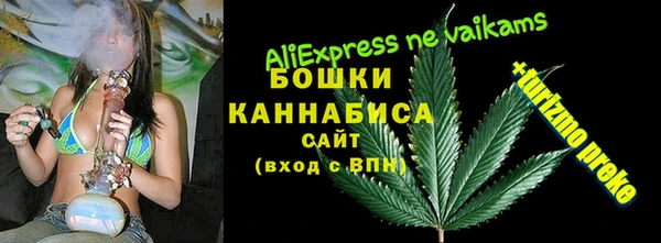 spice Алексин